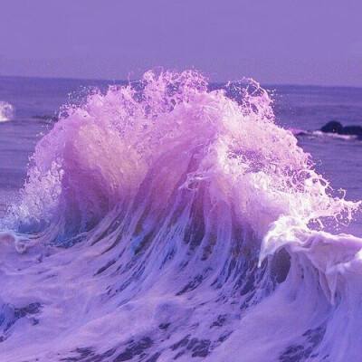 新世纪棋牌下载手机版